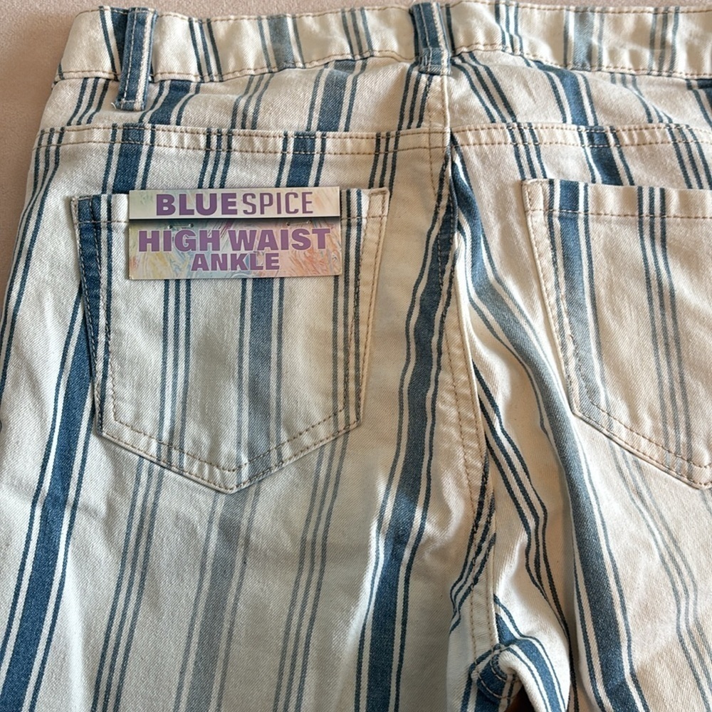 Blue Spice High Waist Ankle Striped Pants Size 5 - Picture 3 of 4